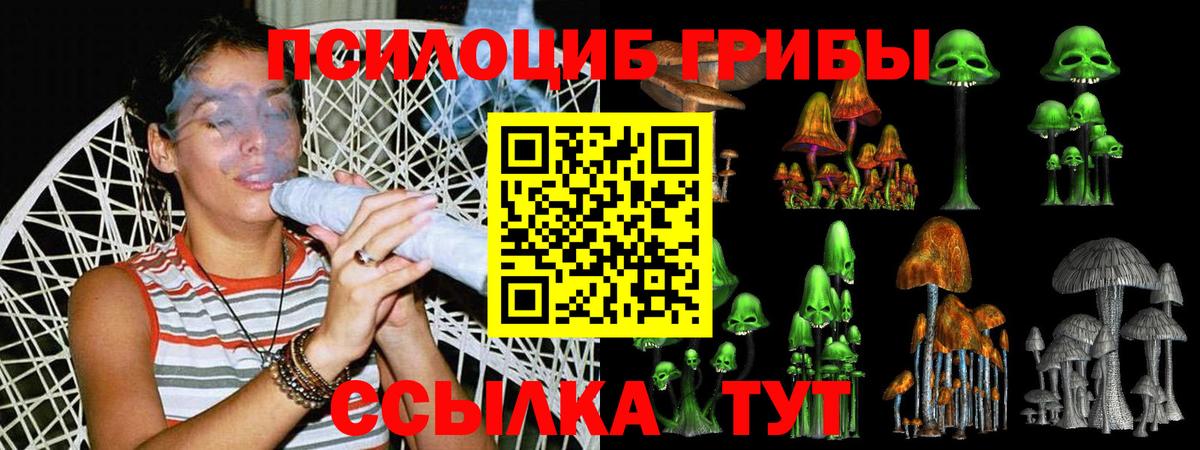 Нижний Тагил  Галлюциногенные грибы Psilocybe  Вход с VPN  Псилоцибиновые грибы Psilocybe 
